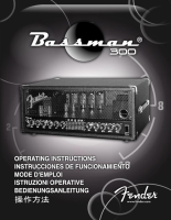 Fender Bassman-300-PRO-Head - Owners Manual 